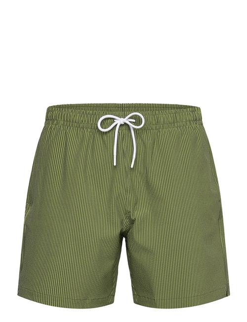 Abercrombie & Fitch | Anf Mens Swim | S