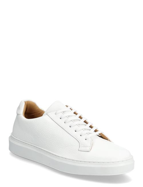 Matinique | Mavasco | 42