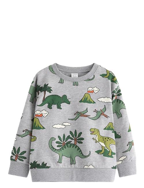 Lindex | Sweatshirt Dino Aop | 110