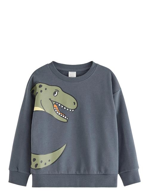 Lindex | Sweatshirt Dino Placement | 116