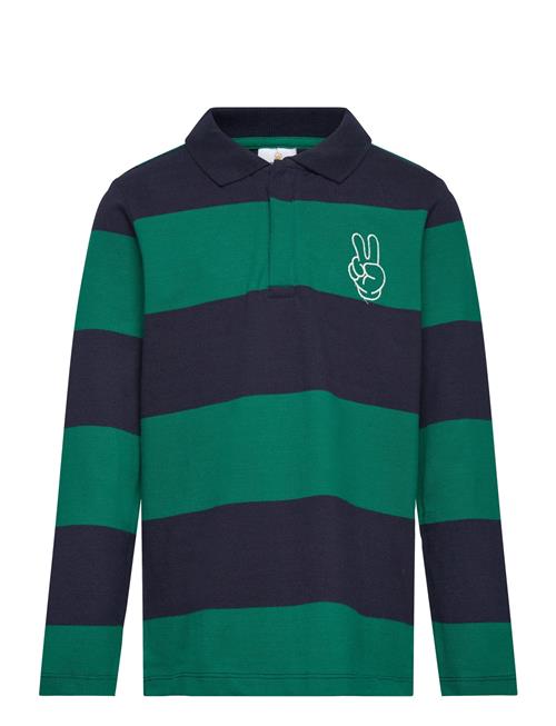 The New | Tnpino L_S Pique Polo | 98/104