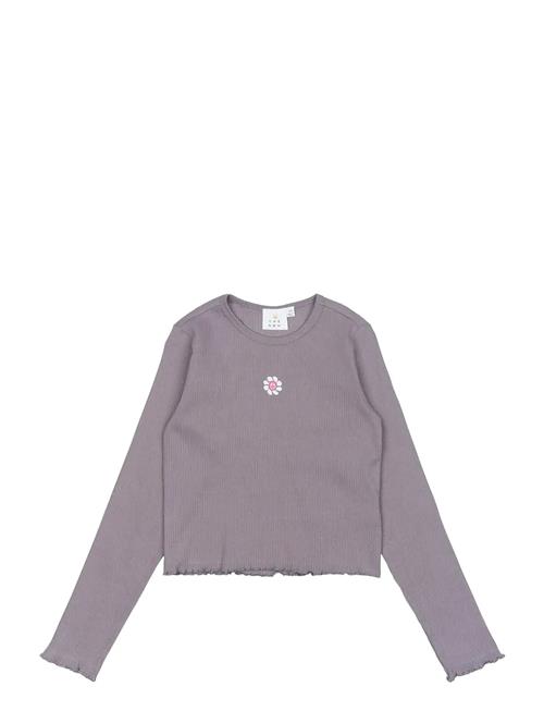 The New | Tnperrin Short L_S Rib Tee | 170/176