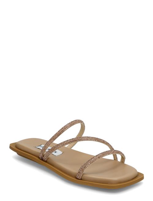 Steve Madden | Safi Slide | 39