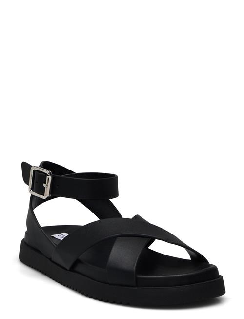 Steve Madden | My Bestie Sandal | 39