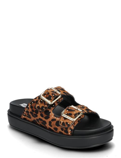 Steve Madden | Freelance-L Slides | 37
