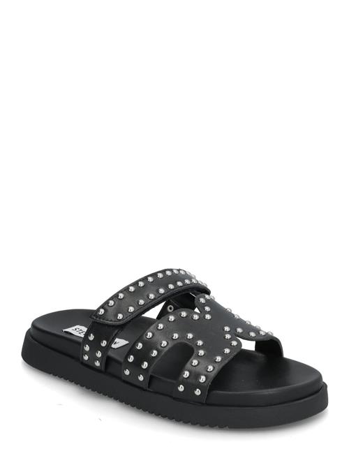 Steve Madden | Missile-S | 37