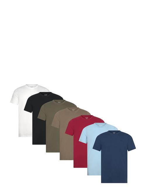 Hollister | Hco. Guys Knits | XS