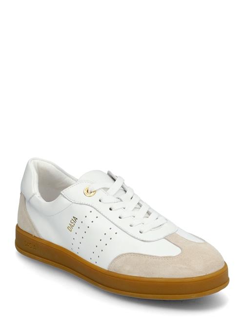 Dasia | Achillea | 38