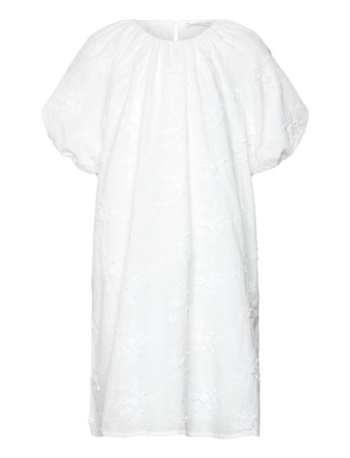 Mango | Dress .-- Pompi | 122