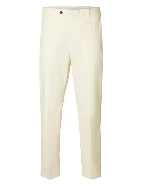 Selected | Slhreg-Tanger Trs | 52