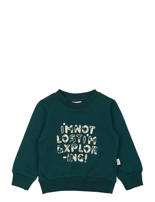 Petit Piao | Ppdov Sweat Shirt | 92