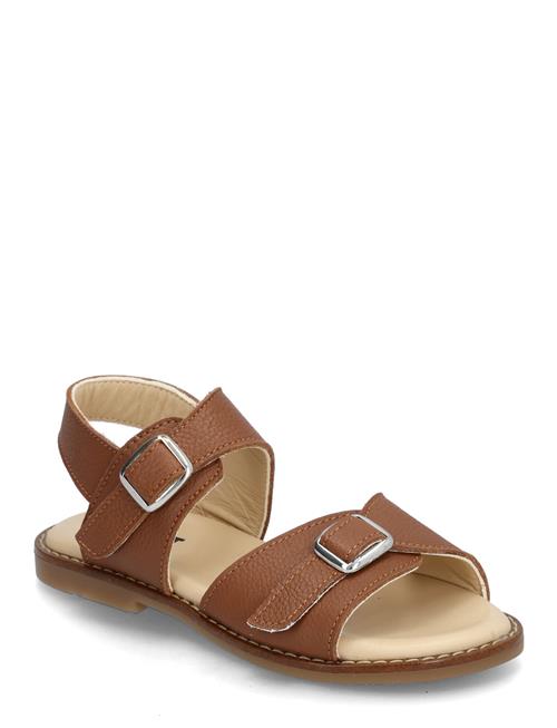 Kavat | Falsterbo | 26/16.3CM