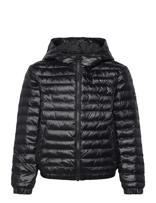 GANT | Shiny Light Padded Jacket | 146-152