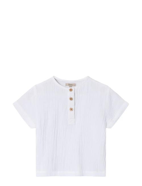 Fliink | Cha Cha Ss Shirt | 116