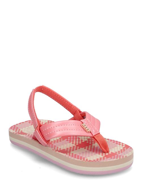 REEF | Little Ahi | 24