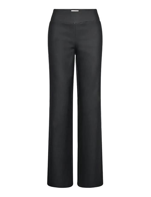 Soyaconcept | Sc-Pam | 36