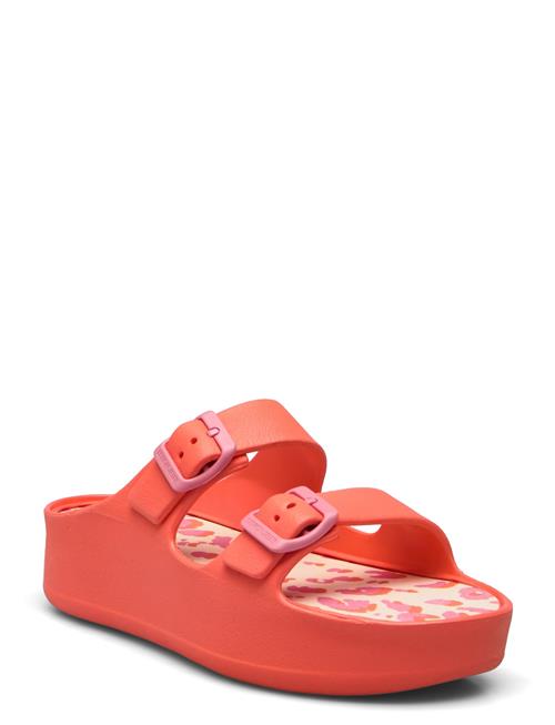 Lemon Jelly | Elvia Orange Peel | 37