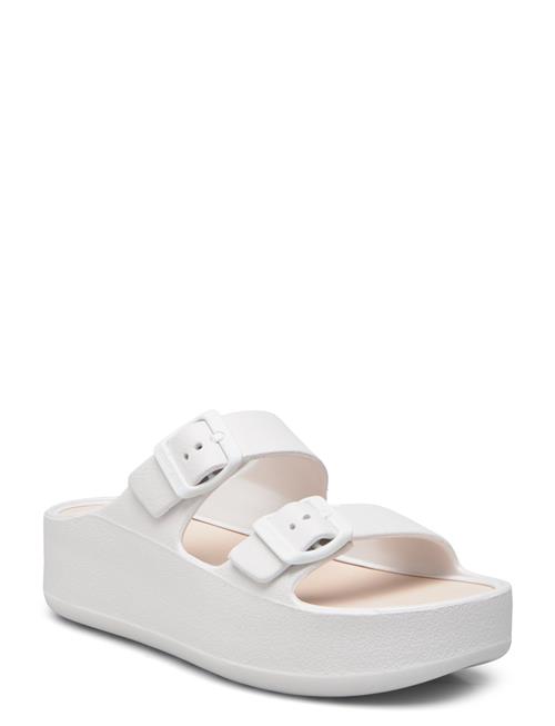 Lemon Jelly | Fenix Pearl Metal | 40