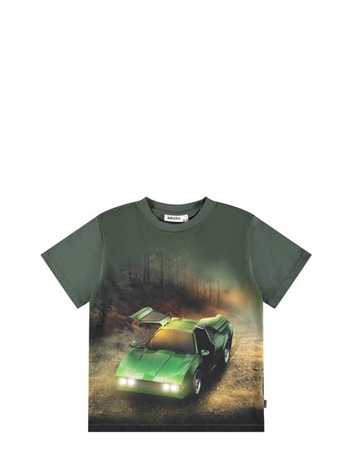 Molo | Riley | 116