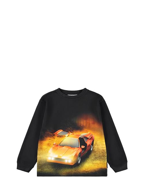 Molo | Rube | 92