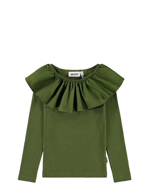 Molo | Renate | 98/104