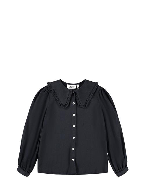 Molo | Robbin | 98/104