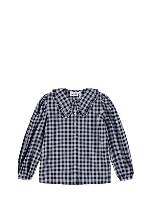 Molo | Robbin | 98/104