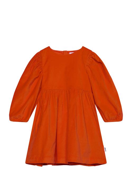 Molo | Cocos | 158/164