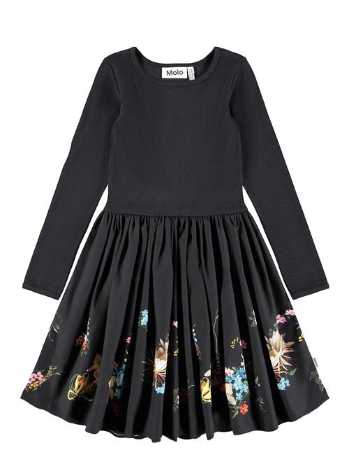 Molo | Casie | 122/128