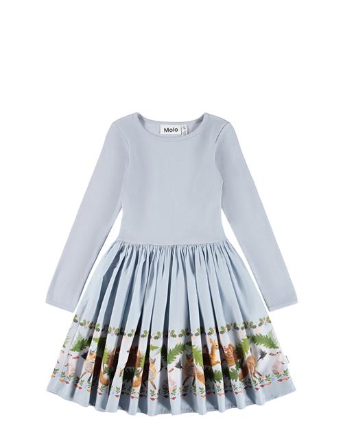 Molo | Casie | 146/152