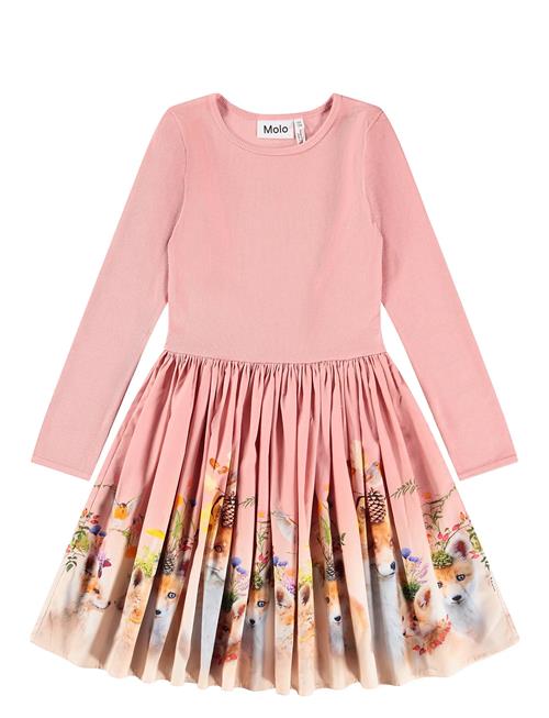 Molo | Casie | 158/164