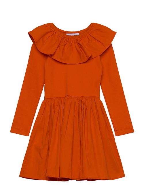 Molo | Cille | 92/98