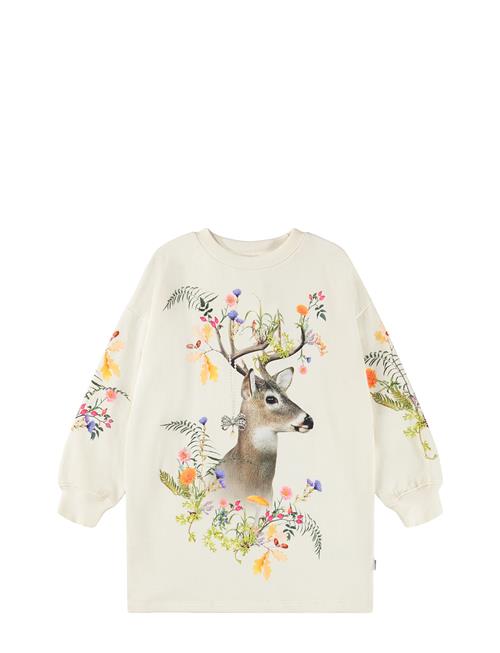 Molo | Cyrella | 122/128