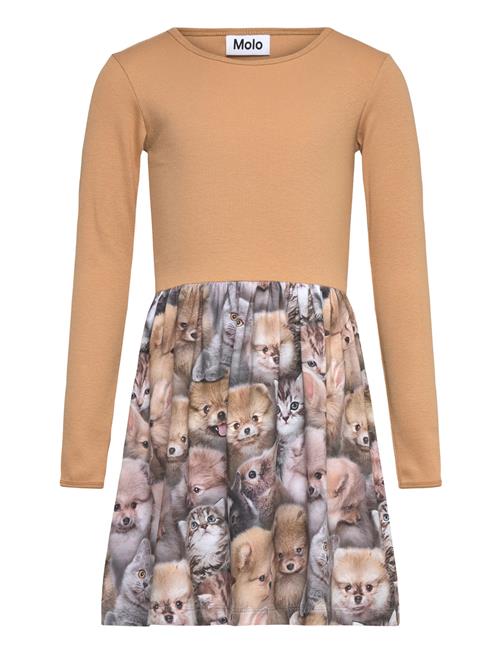 Molo | Credence | 110/116