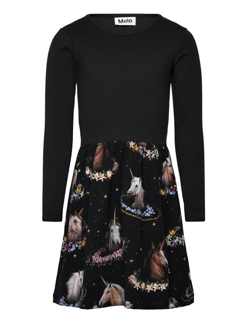 Molo | Credence | 92/98