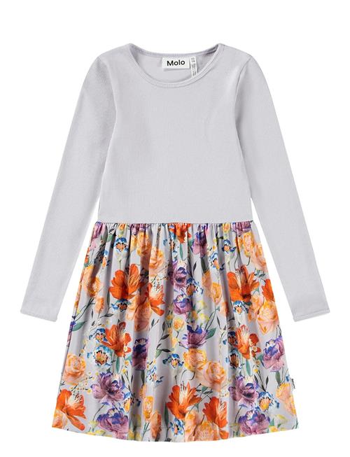 Molo | Credence | 98/104