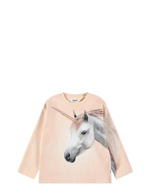 Molo | Mountoo | 152