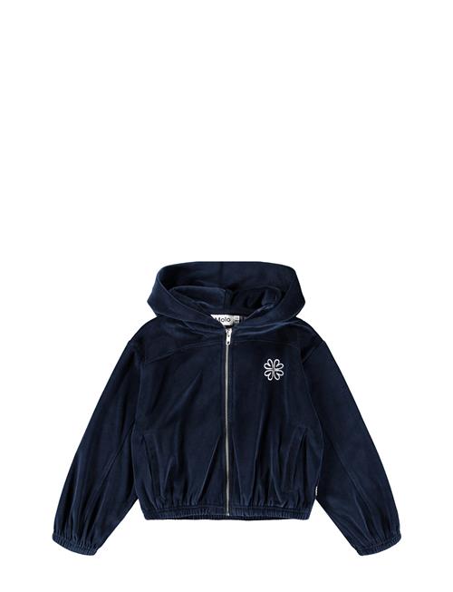 Molo | Madeleine | 122