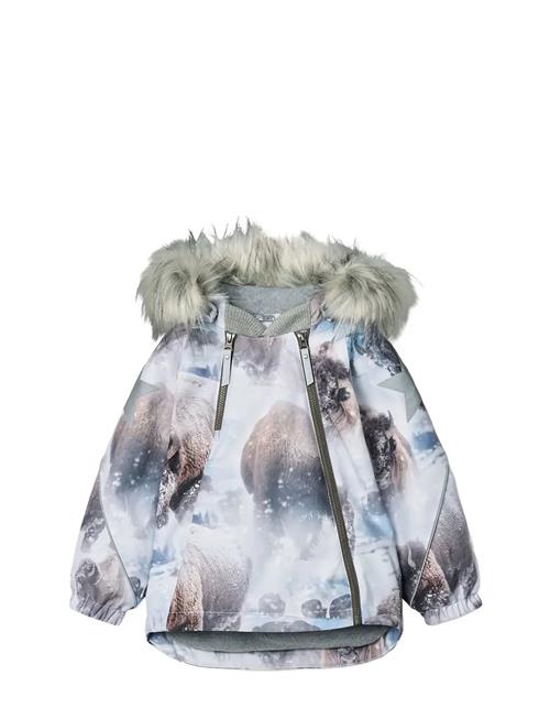 Molo | Hopla Fur | 110
