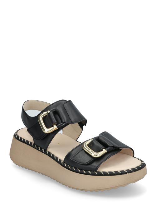 Gabor | Sandal | 42