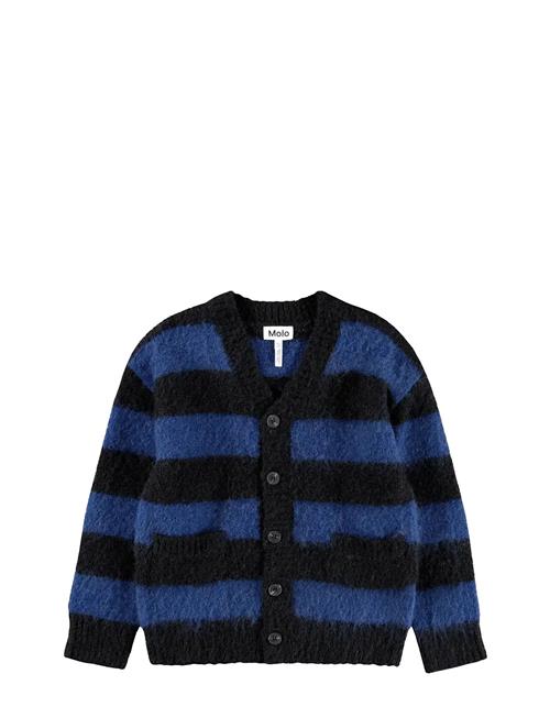 Molo | Brutus | 134/140