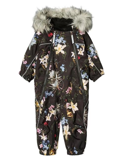 Molo | Pyxis Fur | 104