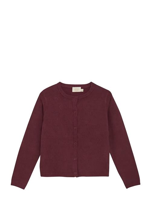 Creamie | Cardigan Pointelle | 128