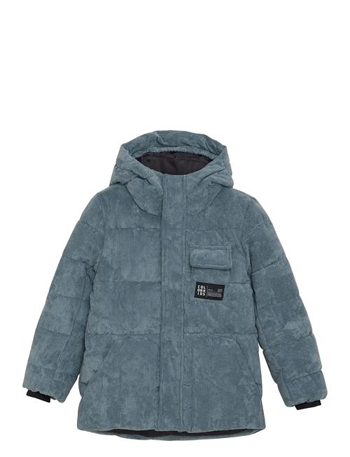 Color Kids | Jr. Puffer Jacket - Corduroy | 164