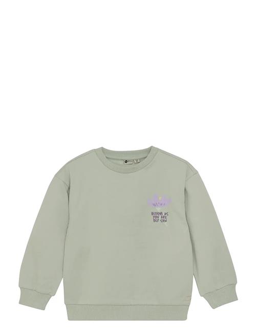 Daily 7 | Sweater Backprint | 116