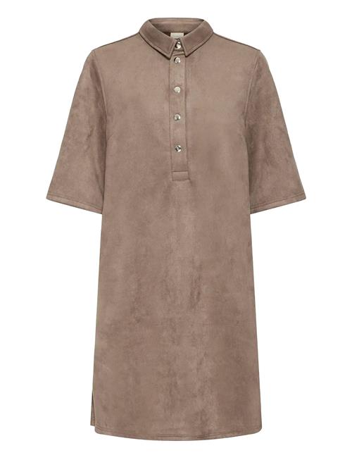 Fransa | Frsuella Dr 1 | M