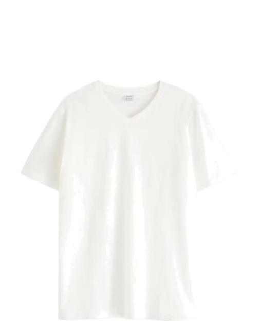 Lindex | T Shirt V Neck | 158/164
