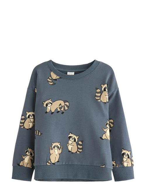 Lindex | Sweatshirt Racoon | 104