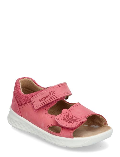 Superfit | Lagoon | 20/12.5CM