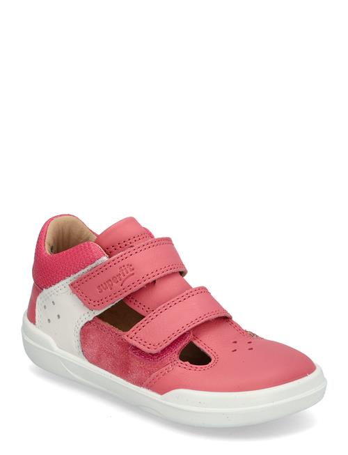 Superfit | Superfree | 21/13.1CM